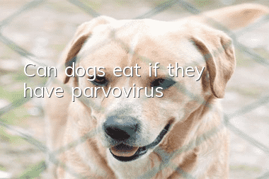 Can dogs eat if they have parvovirus?