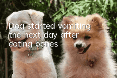 Dog started vomiting the next day after eating bones