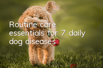 Routine care essentials for 7 daily dog diseases!