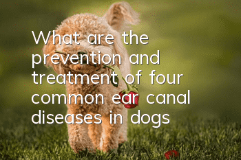What are the prevention and treatment of four common ear canal diseases in dogs?