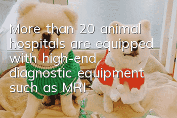 More than 20 animal hospitals are equipped with high-end diagnostic equipment such as MRI or CT. Is it really necessary?