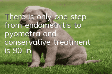 There is only one step from endometritis to pyometra, and conservative treatment is 90% ineffective!