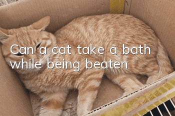 Can a cat take a bath while being beaten?