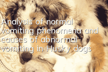 Analysis of normal vomiting phenomena and causes of abnormal vomiting in Husky dogs