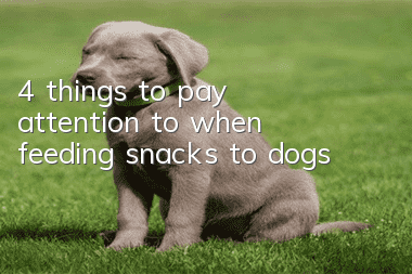 4 things to pay attention to when feeding snacks to dogs