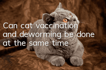 Can cat vaccination and deworming be done at the same time?