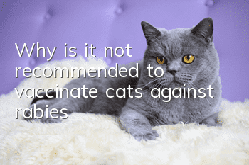 Why is it not recommended to vaccinate cats against rabies?