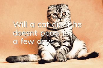 Will a cat die if he doesn't poop for a few days?