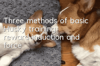 Three methods of basic Husky training: reward, induction, and force