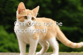 Can cats not be vaccinated?