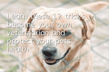 Learn these 12 tricks, become your own veterinarian, and protect your pet’s health!