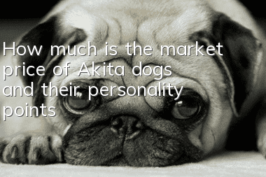 How much is the market price of Akita dogs and their personality points