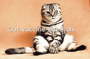Cat vaccine intervals