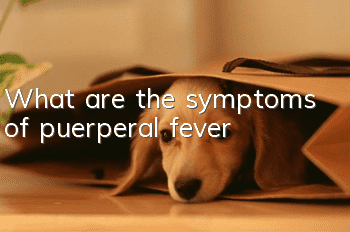 What are the symptoms of puerperal fever?