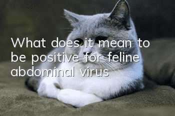 What does it mean to be positive for feline abdominal virus?