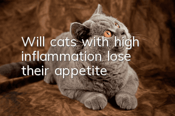 Will cats with high inflammation lose their appetite?