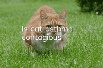 Is cat asthma contagious?