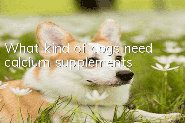 What kind of dogs need calcium supplements?