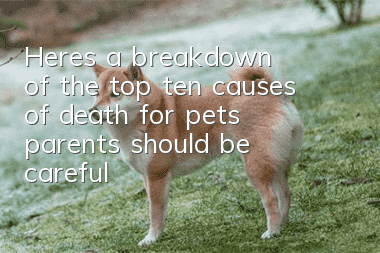 Here’s a breakdown of the top ten causes of death for pets, parents should be careful!
