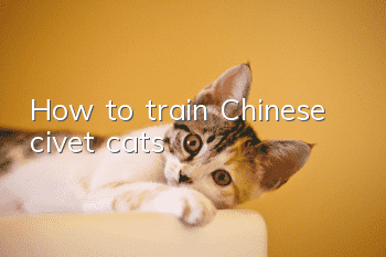 How to train Chinese civet cats