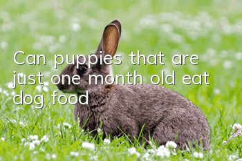 Can puppies that are just one month old eat dog food?