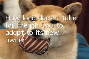 How long does it take for French Dou to adapt to its new owner?