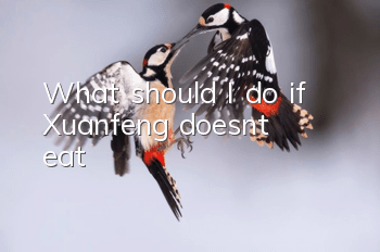 What should I do if Xuanfeng doesn’t eat?