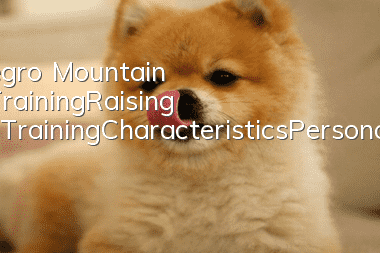 Montenegro Mountain Hound Training_Raising Methods_Training_Characteristics_Personality Characteristics