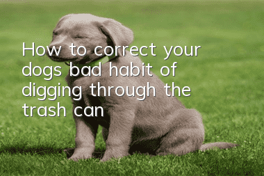 How to correct your dog’s bad habit of digging through the trash can