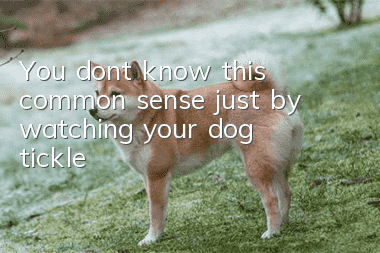 You don’t know this common sense just by watching your dog tickle!