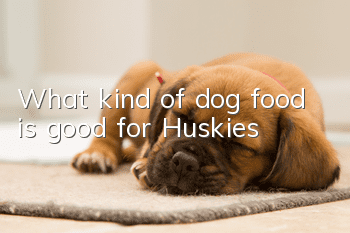 What kind of dog food is good for Huskies?