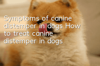 Symptoms of canine distemper in dogs How to treat canine distemper in dogs?