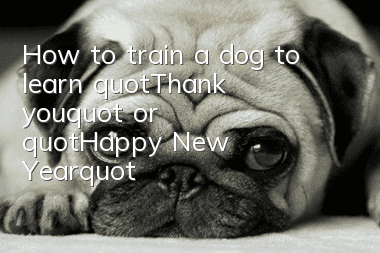 How to train a dog to learn "Thank you" or "Happy New Year"?