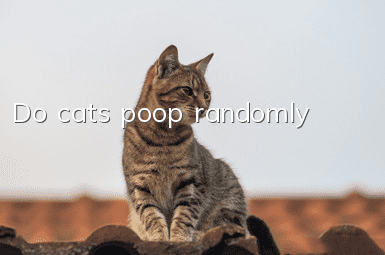 Do cats poop randomly?