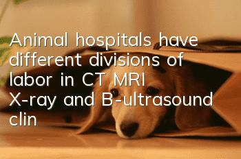 Animal hospitals have different divisions of labor in CT, MRI, X-ray and B-ultrasound clinical examinations