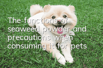 The functions of seaweed powder and precautions when consuming it for pets
