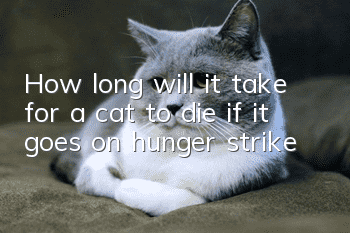 How long will it take for a cat to die if it goes on hunger strike?