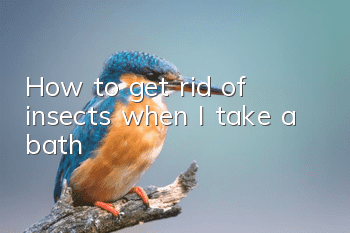 How to get rid of insects when I take a bath