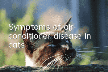 Symptoms of air conditioner disease in cats