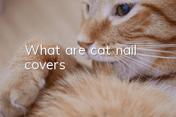What are cat nail covers?