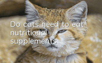 Do cats need to eat nutritional supplements?