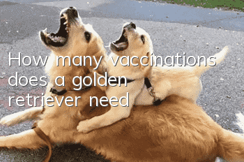 How many vaccinations does a golden retriever need?