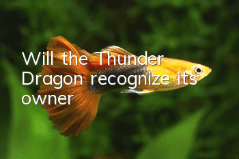 Will the Thunder Dragon recognize its owner?
