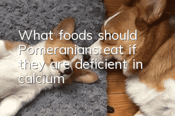 What foods should Pomeranians eat if they are deficient in calcium?