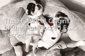 The Historical Origins of the Flat-Coated Fox Terrier