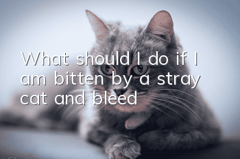 What should I do if I am bitten by a stray cat and bleed?
