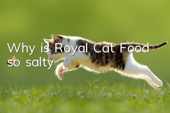 Why is Royal Cat Food so salty?