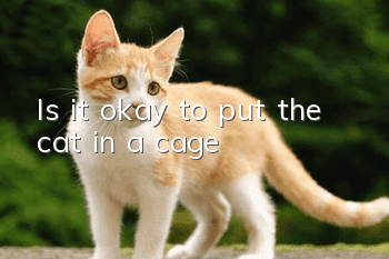 Is it okay to put the cat in a cage?
