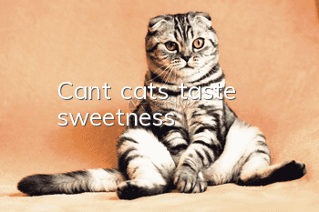Can’t cats taste sweetness?