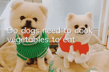 Do dogs need to cook vegetables to eat?